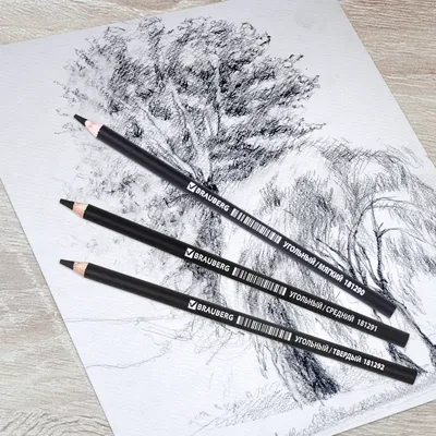 3 шт./компл. HB карандаши с древесным углем для скетчинга мягкие/Средние/Твердые  Углеродные карандаши художественная специальная ручка для рисования вручную  | AliExpress