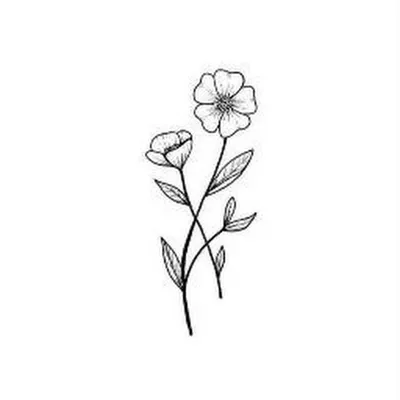 Легкие рисунки цветок - 70 фото
