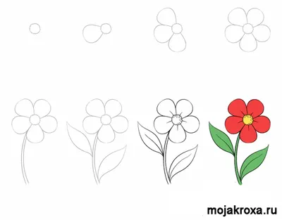 Рисунки цветов | andrey-eltsov.ru