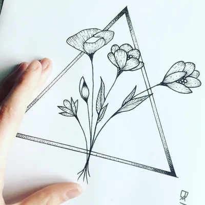 Картинки цветов - рисунки для срисовки карандашом • Прикольные картинки и  позитив