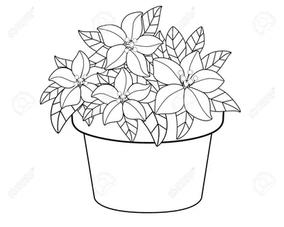 Черно-белый рисунок букет цветов в…» — создано в Шедевруме