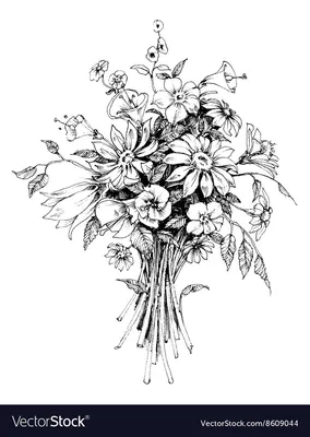 Букет цветов. Графический рисунок с изображением букета цветов. Летние цветы  в подарок Stock Illustration | Adobe Stock
