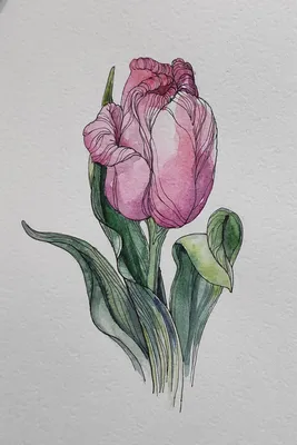 Иногда я рисую цветы... | Пикабу