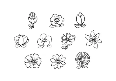 Идеи для срисовки цветок красивый цветной (90 фото) » идеи рисунков для  срисовки и картинки в стиле арт - АРТ.КАРТИНКОФ.КЛАБ