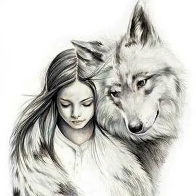 Любить волки в природе Рисунок волка Животные иллюстрация Иллюстрация штока  - иллюстрации насчитывающей чертеж, черный: 166482299