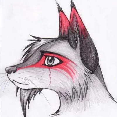 Рисунок карандашом волк» — создано в Шедевруме