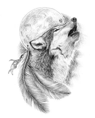 Рисунки волков легкие и красивые для начинающих (46 фото) » рисунки для  срисовки на Газ-квас.ком