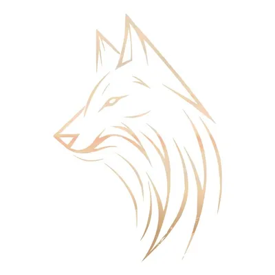 Рисунки для срисовки волки аниме - подборка