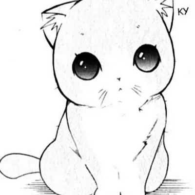 Кот для срисовки карандашом аниме (34 шт)