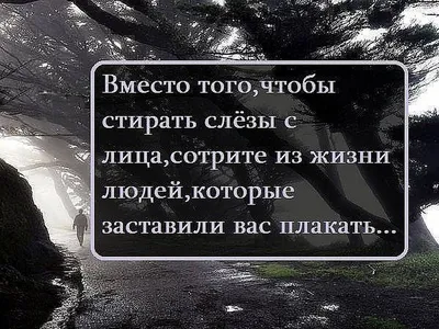 437 отметок «Нравится», 0 комментариев — Статусы со смыслом фразы мысли  (@citativk) в Instagram | Life quotes, Quotations, Words