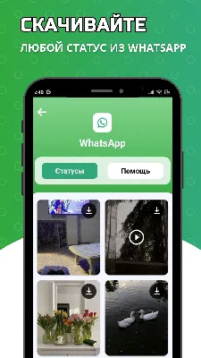 WhatsApp добавляет новые функции для обновлений статуса в WhatsApp для iOS  и Android