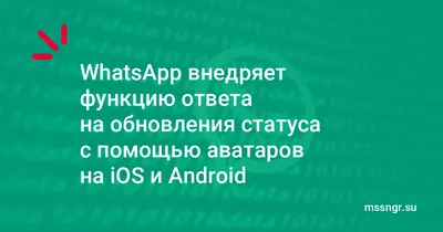 Статус в WhatsApp: что такое, как поставить/посмотреть, как удалить |  Postium