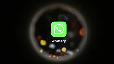 Троллинг 80-го уровня. В Telegram появилась тема, копирующая WhatsApp - |  24.KG