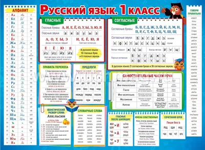 Книга Все обучающие плакаты по русскому языку. 1-4 классы - купить  демонстрационные материалы для школы в интернет-магазинах, цены на  Мегамаркет |