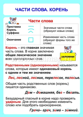 Плакат ТЦ Сфера по русскому языку в начальной школе. Склонение имен  существительных купить по цене 135 ₽ в интернет-магазине Детский мир