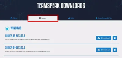 How to host your own TeamSpeak server - IONOS