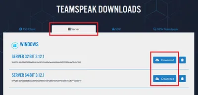 How to host your own TeamSpeak server - IONOS