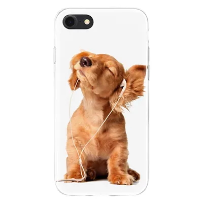 Чехол силиконовый для Apple IPhone 14 Pro, Pro Max, Plus (Щенки чихуахуа,  милые собачки, ушки, лапки, сердце) (ID#1721946342), цена: 250 ₴, купить на  Prom.ua