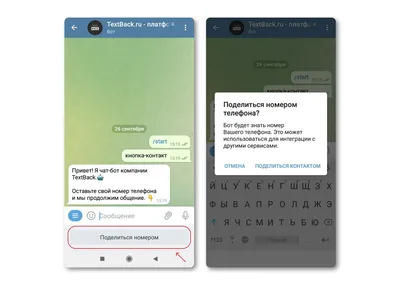 Кнопка-контакт: как получить номер телефона в Telegram