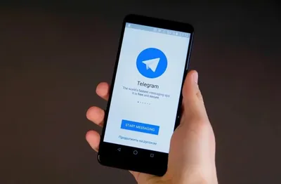 Telegram: как удалить фотографии, видео и файлы, чтобы освободить место -  Infobae