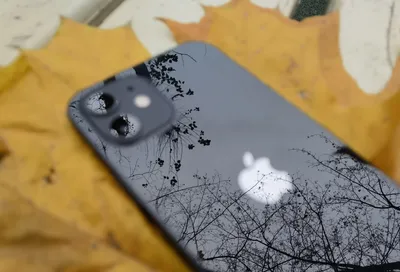 Apple может отказаться от челки в новых iPhone | AppleInsider.ru