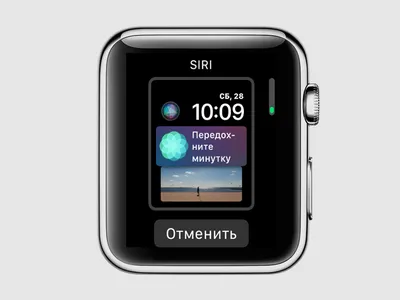 Чем полезен новый циферблат Siri в Apple Watch — Блог restore Digest