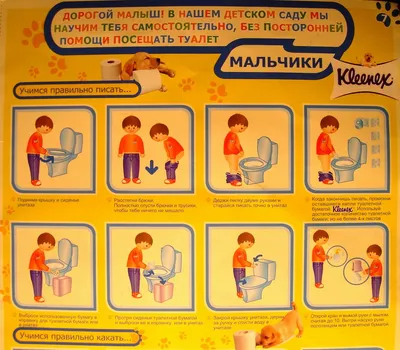 Разделительные перегородки для детских туалетов на заказ