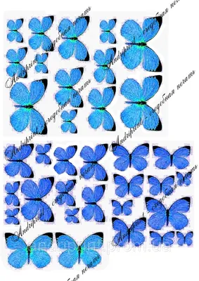 Съедобная Печать \"Бабочки\" Сахарная и Вафельная Бумага А4 — Купить на  BIGL.UA ᐉ Удобная Доставка (1397412711)