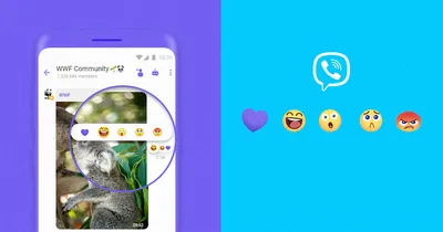 Viber now lets users set photos and videos to disappear after they're  viewed | TechCrunch