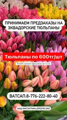 Поздравление Председателя Государственного Собрания (Ил Тумэн) Алексея  Еремеева с 8 марта | Aartyk.ru - Хроника, События и Факты