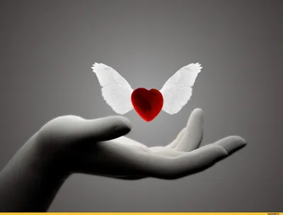 День Святого Валентина СМС WhatsApp Предложить День Желание, Сердце Роза 1,  любовь, желание, мультимедийная служба обмена сообщениями png | PNGWing