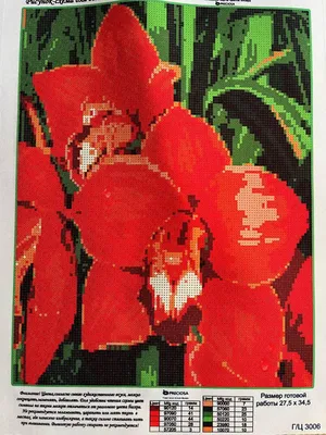 Схема для частичной вышивки бисером Орхидеи, схемы для частичной вышивки  бисером (для вышивания бисером) BRM (ID#2015347747), цена: 139 ₴, купить на  Prom.ua