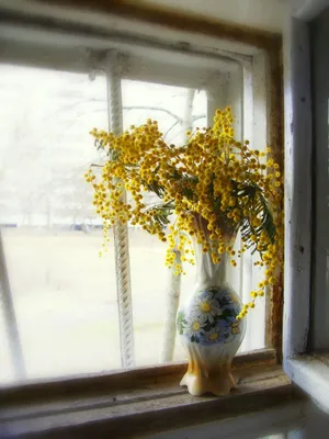 8 Марта» Цветы Хабаровск