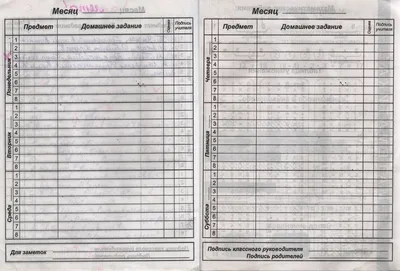 Дневник школьный, для младших классов, 40/48л, офсет 60г/м2, обложка  твердая ламинир. (7БЦ) (564-001) оптом купить в г. по цене 89.50 ₽ |  Гала-Центр