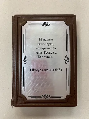 Светоч\" Дневник школьный 1-11 класс, матовая ламинация A5+ 40 л. 12 шт.  твердый переплет 60 г/кв.м Дневник российского школьника 40ДТ5_000002 оптом  купить в интернет-магазине Фирма «Гамма»