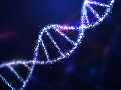 ДНК: что это, из чего состоит и за что отвечает | РБК Тренды