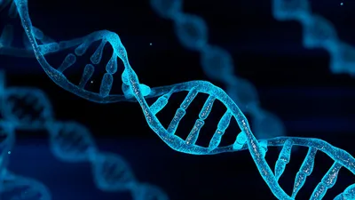 31 год назад была открыта уникальность ДНК — «генетические отпечатки» -  «Qazaqstan» Ұлттық телеарнасы