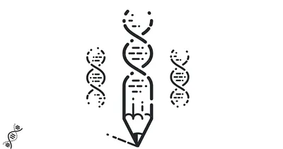 ДНК: история одной макромолекулы – статья – Корпорация Российский учебник  (издательство Дрофа – Вентана)