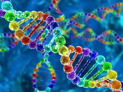 Особенности выделения ДНК из разных типов образцов - блог Sesana