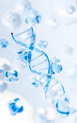Журнал «За науку»: Как РНК взаимодействует с ДНК