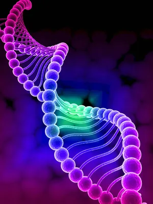 Разработка позиционирования бренда и ДНК бренда | Брендинговое агентство  BRANDEXPERT ОСТРОВ СВОБОДЫ
