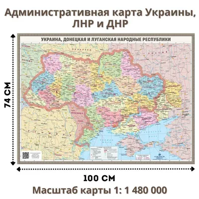 Российский Союз Молодежи подготовит 20 молодежных сообществ в ЛНР и ДНР