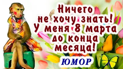 Не упусти возможность сделать предзаказ на 8 марта! | Новости UFL