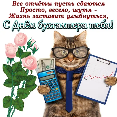 Картинки с Днем бухгалтера на украинском - хорошие поздравления - Lifestyle  24