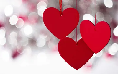 Сьогодні в Україні святкують День закоханих » Профспілка працівників освіти  і науки України
