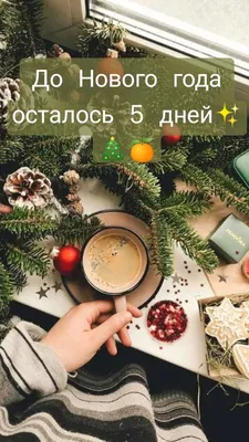 До Нового года осталось 5 дней✨🎄🍊