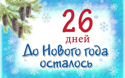 До Нового 2024 года осталось 5 дней – СампоТВ 360°