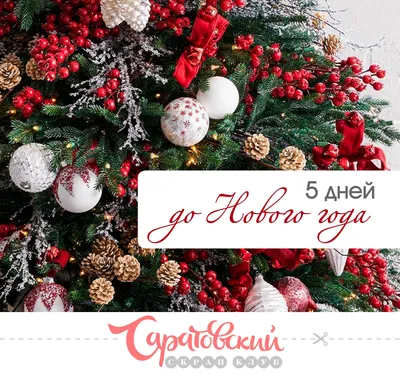 Catery - Всего 5 дней до Нового года! Подарки? Компания? Планы на  новогоднюю ночь? Все уже должно быть спланировано. Если вы не успеваете, то  рекомендуем поторопиться и сделать последний рывок!🙌🏻 Осталось совсем