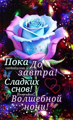 СПОКОЙНОЙ НОЧИ! 🌹✨🌸💤🌛🌃🌜💤🌸✨ ПРИЯТНЫХ СНОВИДЕНИЙ! 🌹 ДО ЗАВТРА! 🌹 |  Веселые мемы, Смешные мемы, Смешные открытки