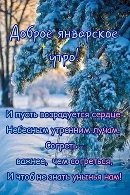 Доброе январское Утро,Друзья... ~ Открытка (плейкаст)